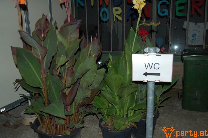 Bild 20